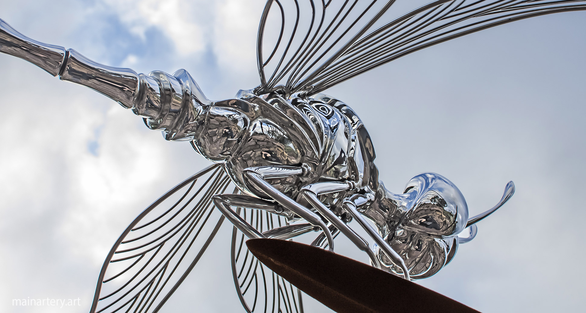 detailed wings dragonfly polished sculpture image